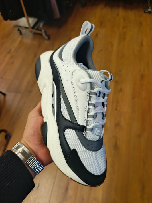 Chaussure dior