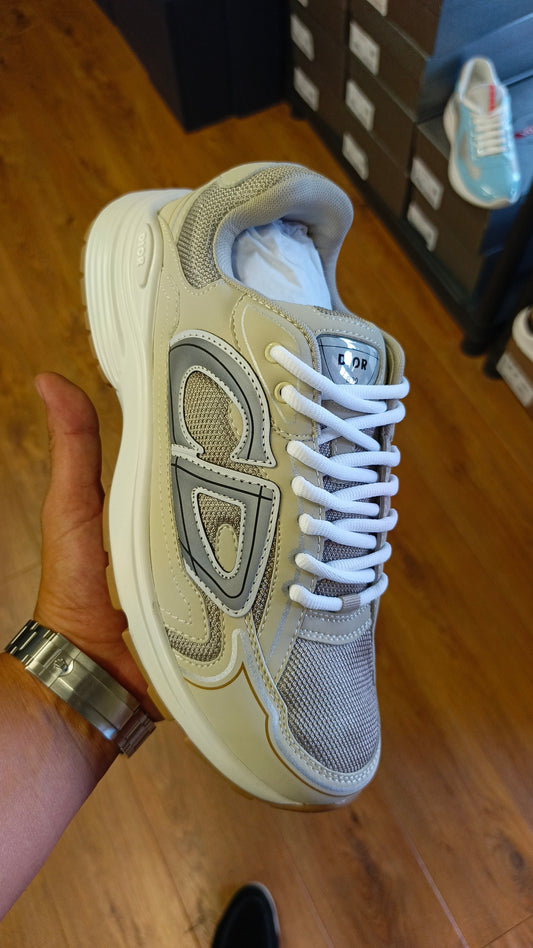 Chaussure dior